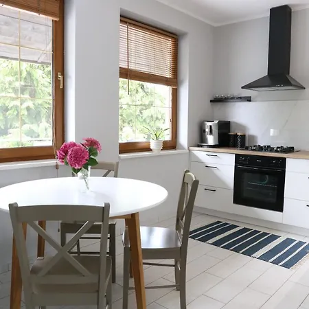 Komfortowe Mieszkanie Z Antresola I Tarasem アパート バルチェボ